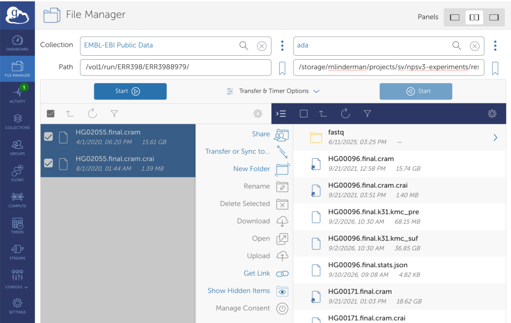 Selecting the Ada endpoint as the transfer destination
